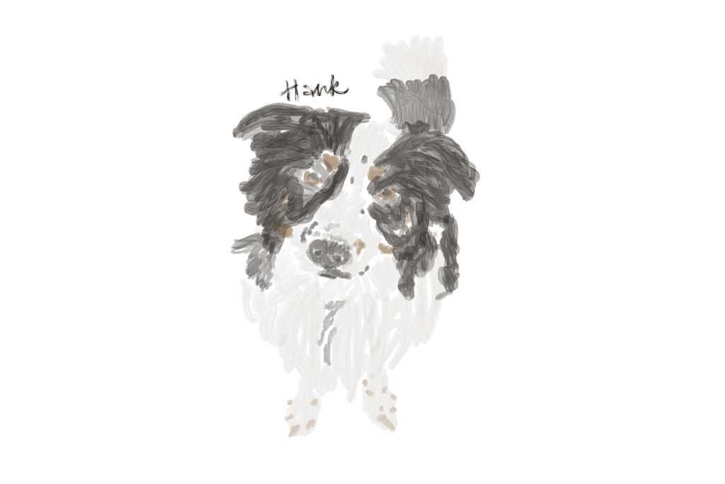 Silly Little Custom Pet Drawing